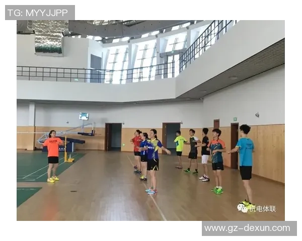 杭州羽毛球队个人能力分析与发展策略探讨